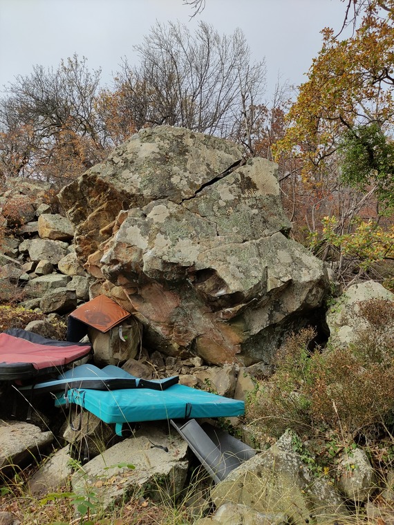 Муравейник