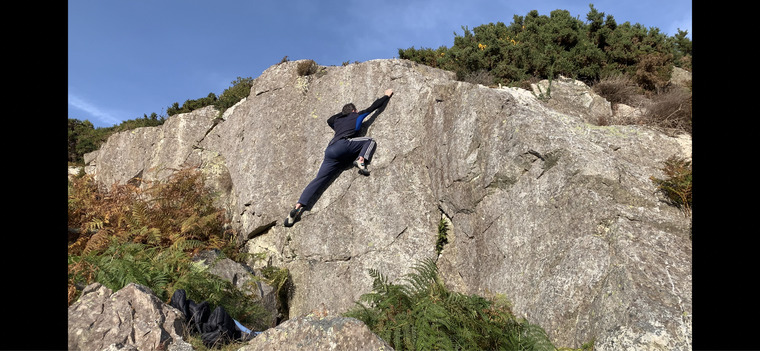 A forest view a view 
