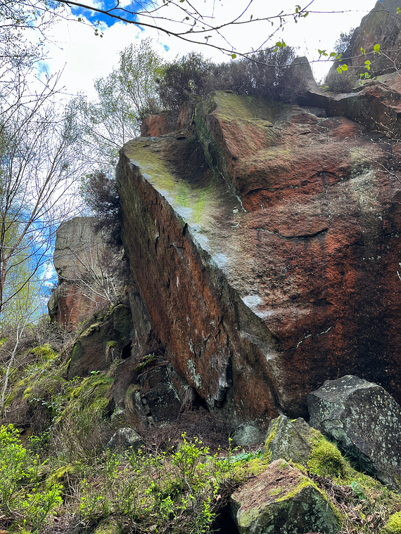 Briars of Punishment