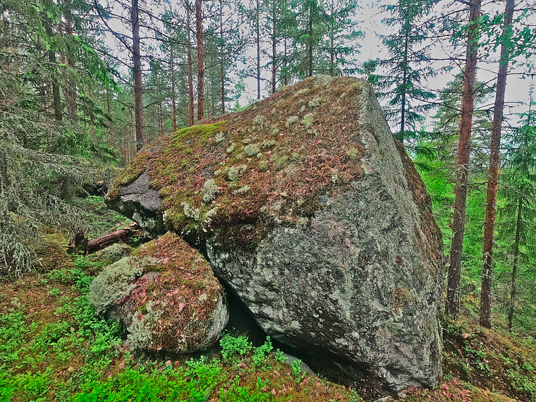 Hassinlahden vartija