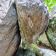 L'Âme Indienne assis thumbnail