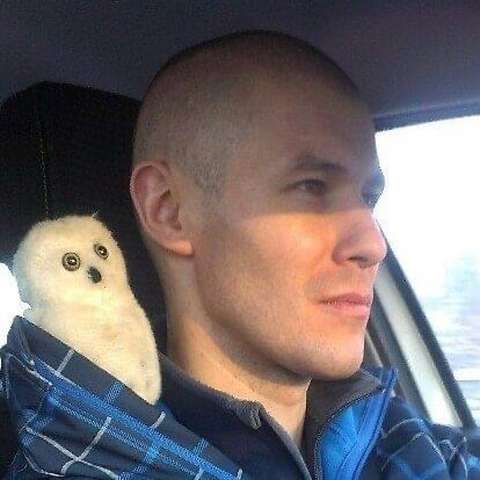 Vadim Dich