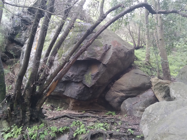 Gran piedra de los bellotos