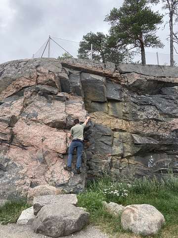 Mykolas Vaitiekūnas