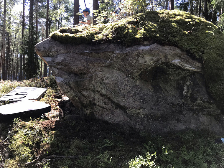 Ormbunke (Kids boulder)