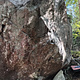 Rooibos pelastaa thumbnail