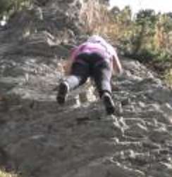 Annica Bergman