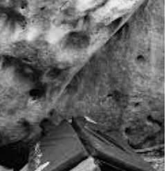 Solomon Lane