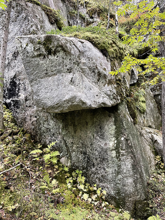 Karpolla on eutanasiaa