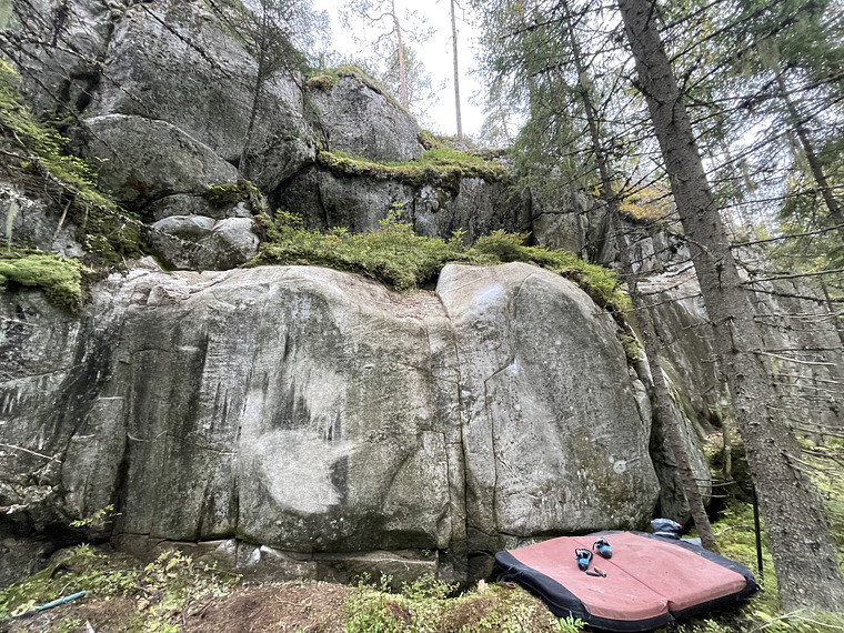 Omituisten otuste kerho