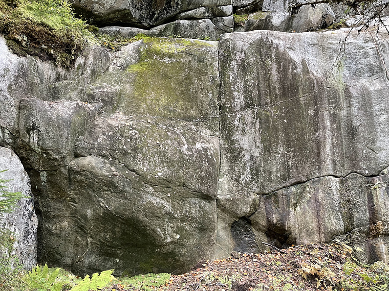 Near Life Experience