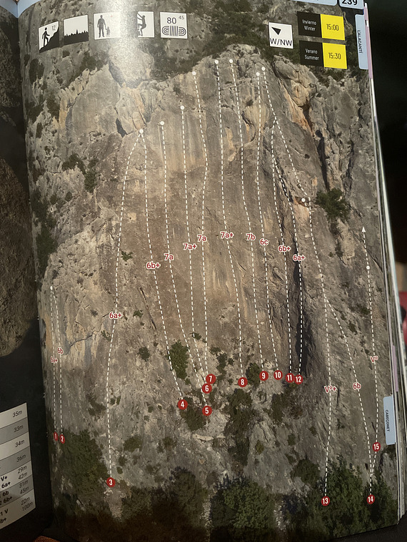 Cabeçonet JABUGO CIRCO