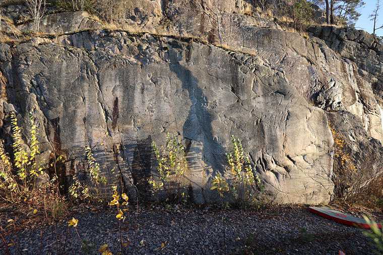 Sterk Naken & Biltyvene