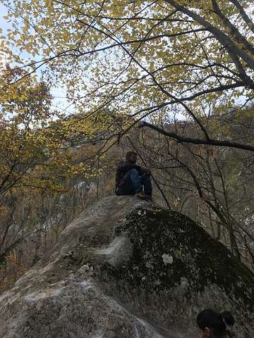 Luca Frattura