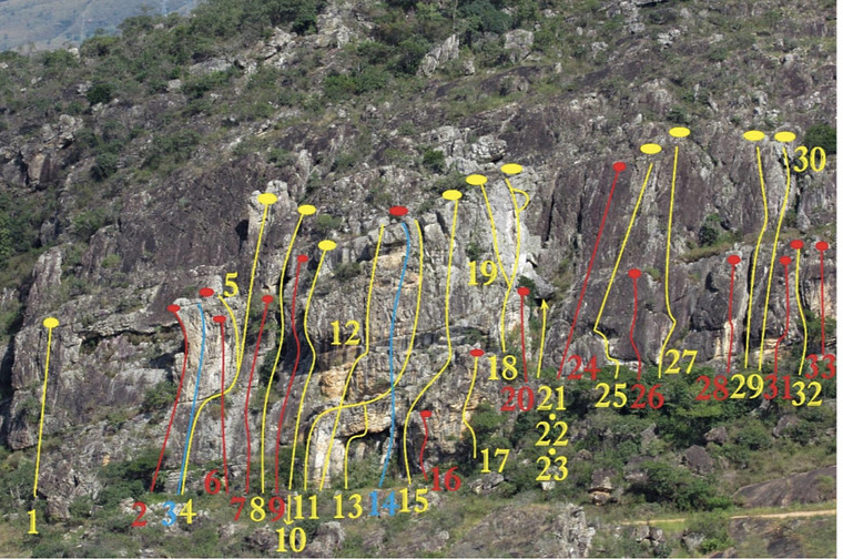Bloco dos Dois Dedos