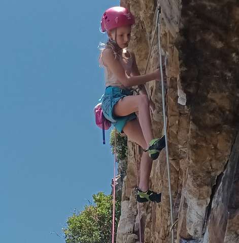 Sierra Harpur