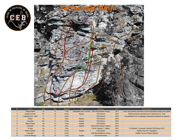 Sector Tartarugas Ninja