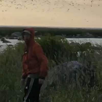 Topias Saari