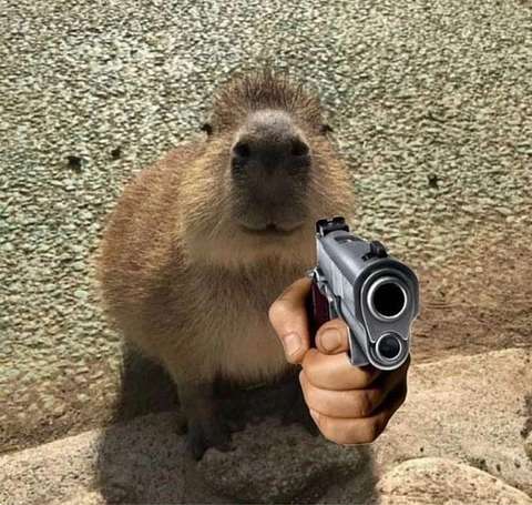 Capybara Wspinara