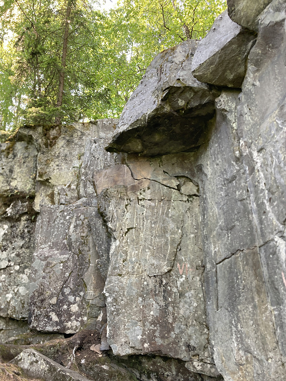 Hovedfelt, venstre del