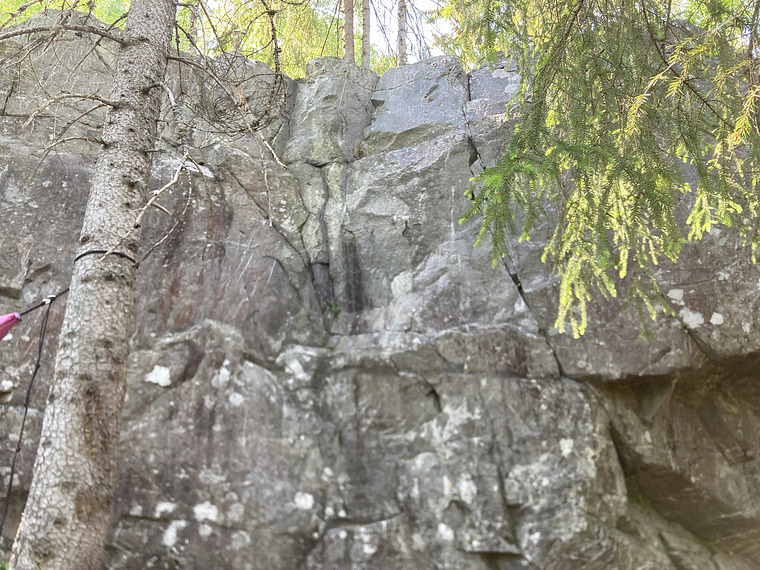 Hovedfelt, venstre del