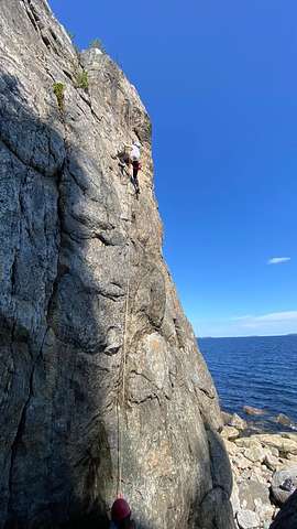 Elin Andersson