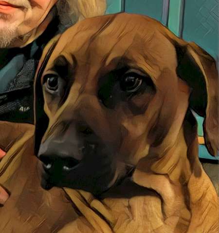 Uli S.