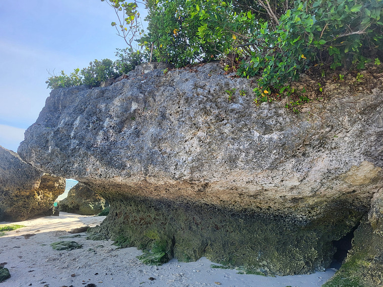 Crag dog beach