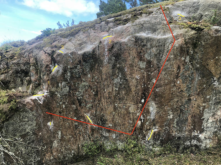 Lövgren‘s Delight