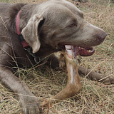 Jonas Vanvaerenbergh