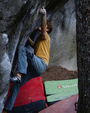 Robin Bauer