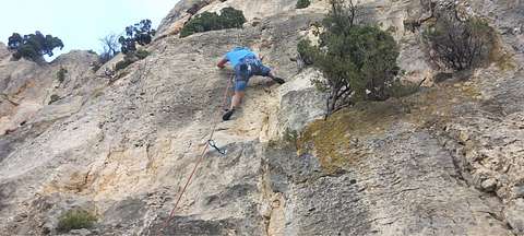 Quique  Morella 
