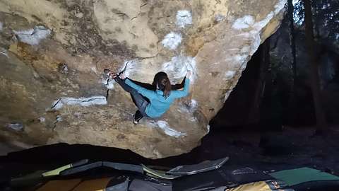 Sara Banara
