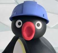 Rob Rot