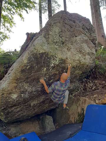 Willj Sartori
