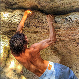 Francesco Lambertini