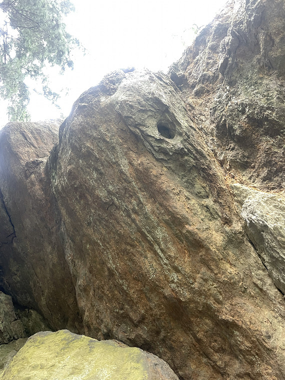 Som en fisk i vattnet 