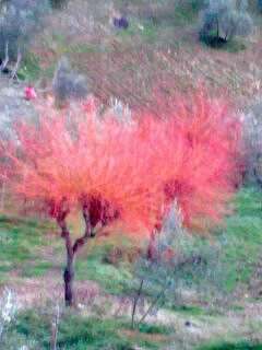 marcomeo1959@gmail.com Meini