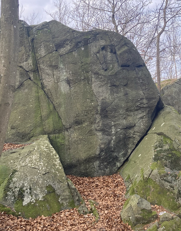 Höjdrädda Pollenallergiker