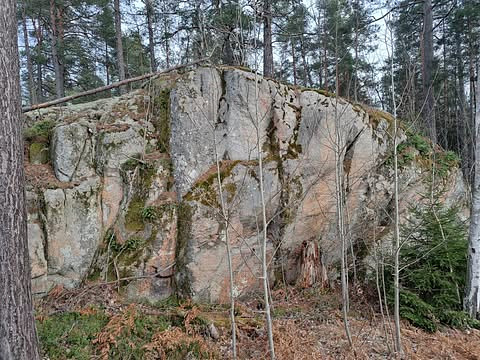 Pro Fella (unbrushed)