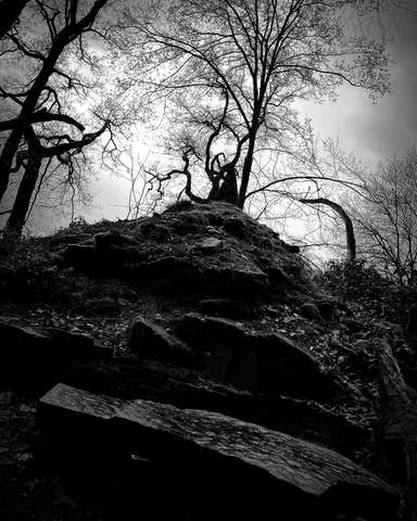 Tom Lanssens