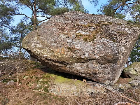 Äggboden (unbrushed)