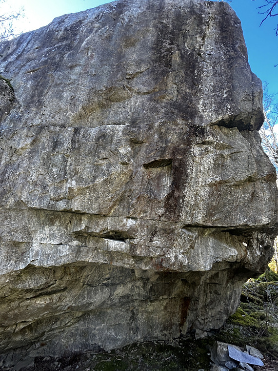 Snakke litt med katten