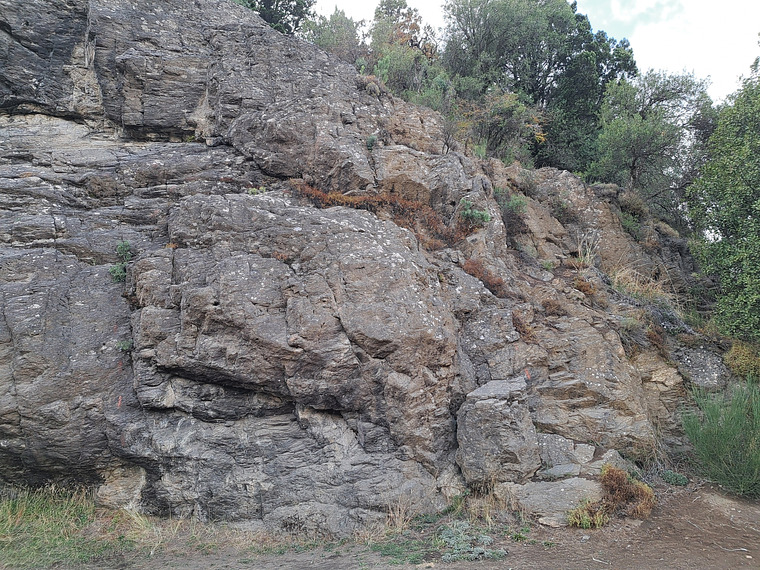 Virgen de las Nieves