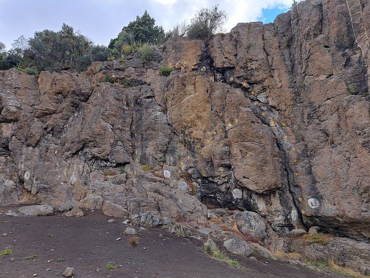 Virgen de las Nieves