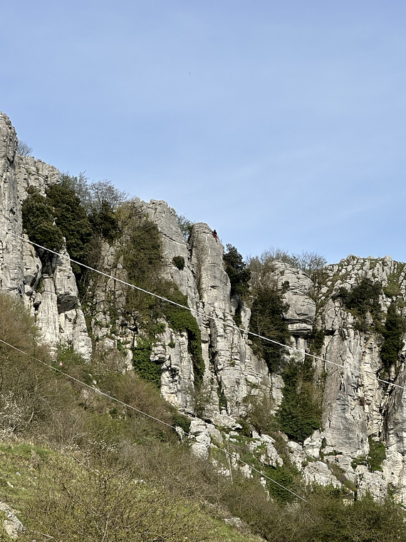 Fascia superiore e inferiore 