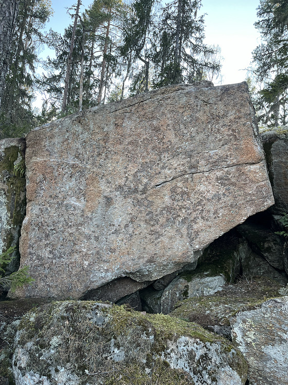 Prismatic Evolutions 