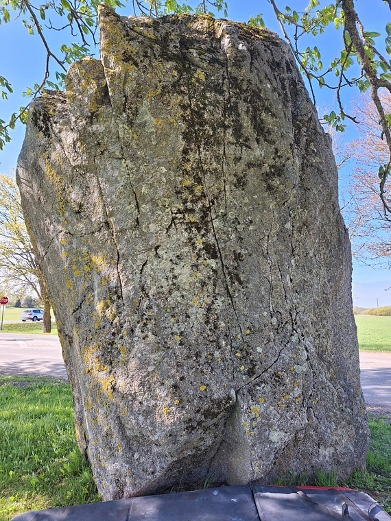 Mosėdžio ženklas 2