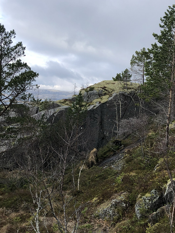 Bilder fra en rekognosering. 