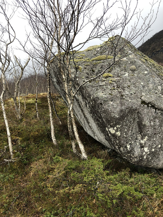 Bilder fra en rekognosering. 